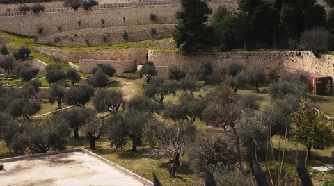 The Golden Gate of Jerusalem's Old City Stock Footage 59243443