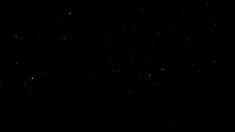 Golden Glitter Blast Effect Overlay on Black Background Stock Footage 319790690