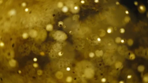 Golden glitter confetti exploding, creating bokeh background Stock Footage 293100873