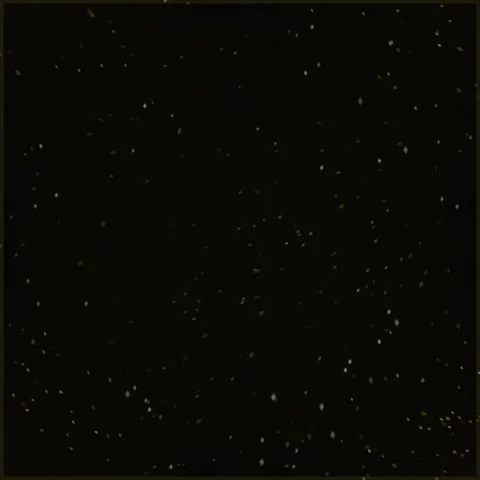 Golden Glitter Falling on Black Background, Abstract Sparkle Confetti Celeb.. Stock Footage 346283957
