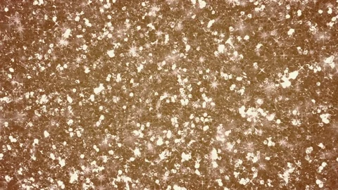 Golden glitter sparkles background loop animation Stock Footage 256256832