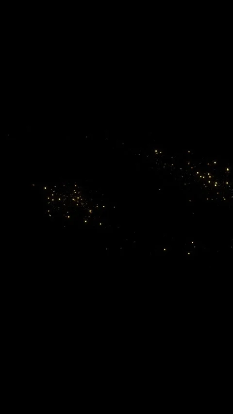 Golden Glitter Sparkling Magic light. Shining gold Dust particles bokeh trail sp Stock Footage 341913126