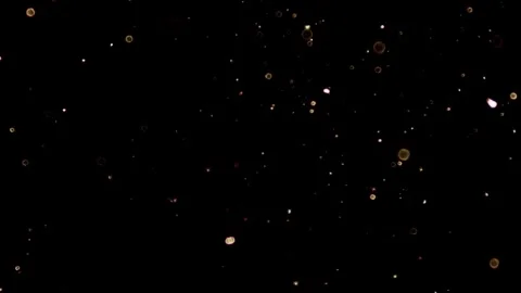 Golden glowing particles floating elegantly on a black background Stock Footage 329598755