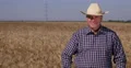 Golden Grains Wheat Culture Farmer Man Looking Satisfied Harvest Hot Summer Day 4k or 4k+ Resolution