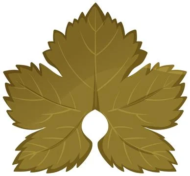 Golden Grape Leaf Cluster Vector Illustration Stock Illustration