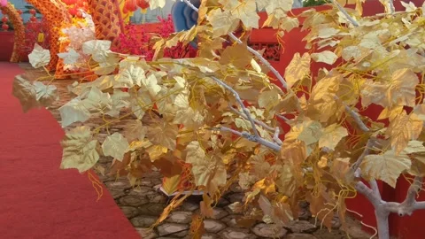Golden grape leaves Stock Footage 263556738