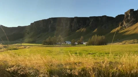 Golden grass sways in the wind across green meadow beneath basalt cliffs and Stock Footage 345969080