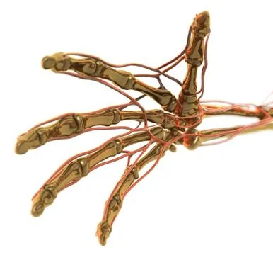 Golden Hand Stock Illustration