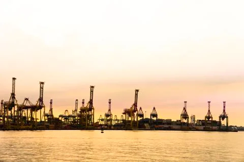 Golden harbor Stock Photos