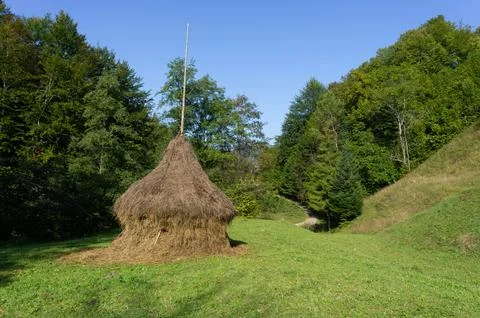 Golden Haystack in Green Field Surrounded by Lush Forest Stock Photos