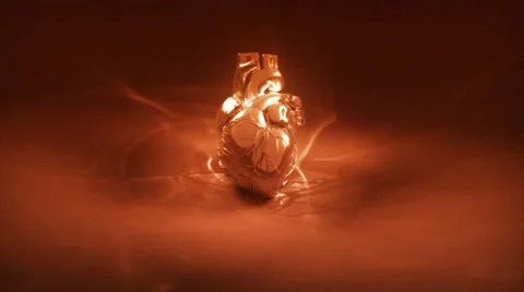 Golden Heart Stock Footage 12355437