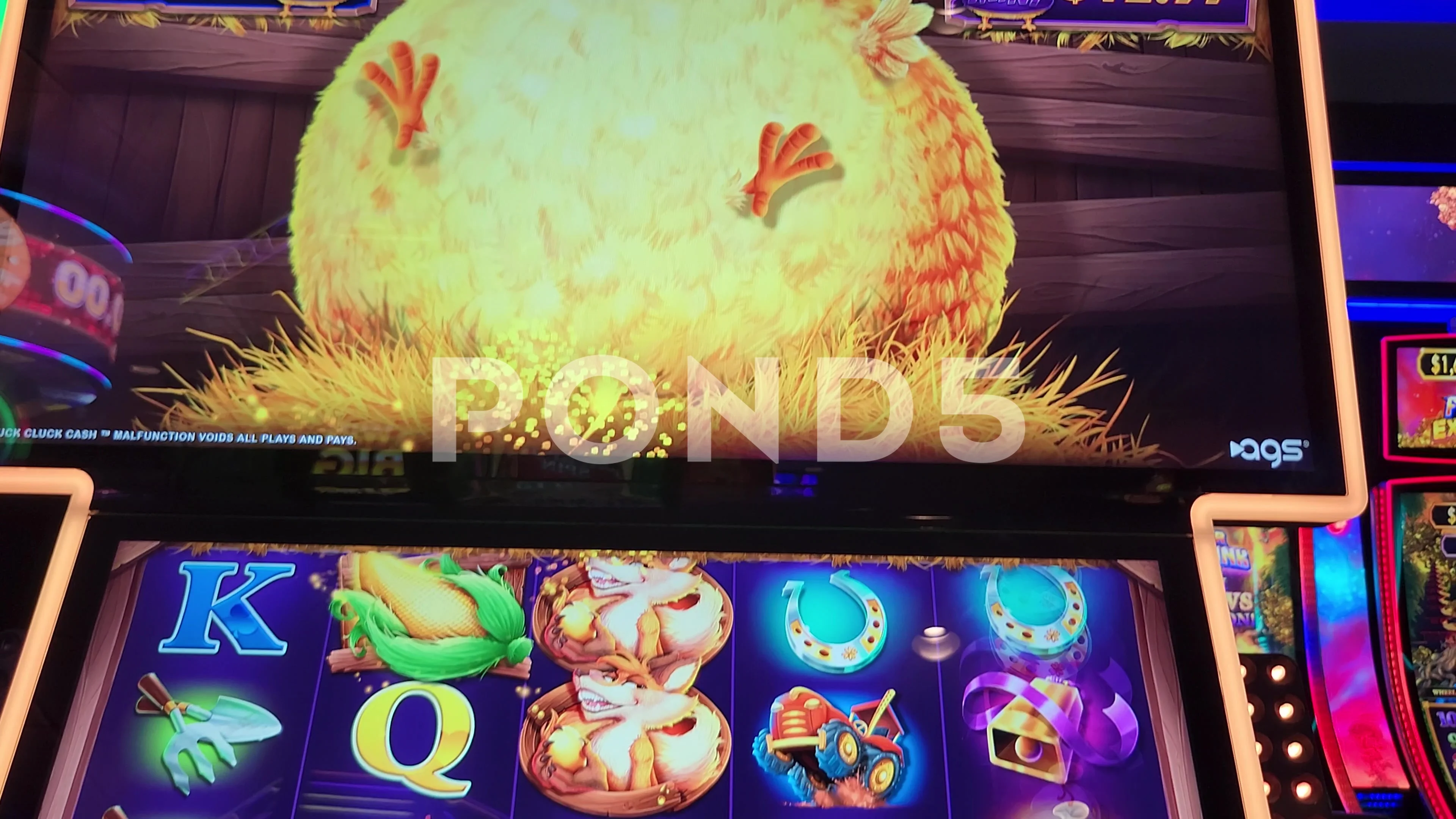 Golden Hen Bird Slot Machine Casino Game