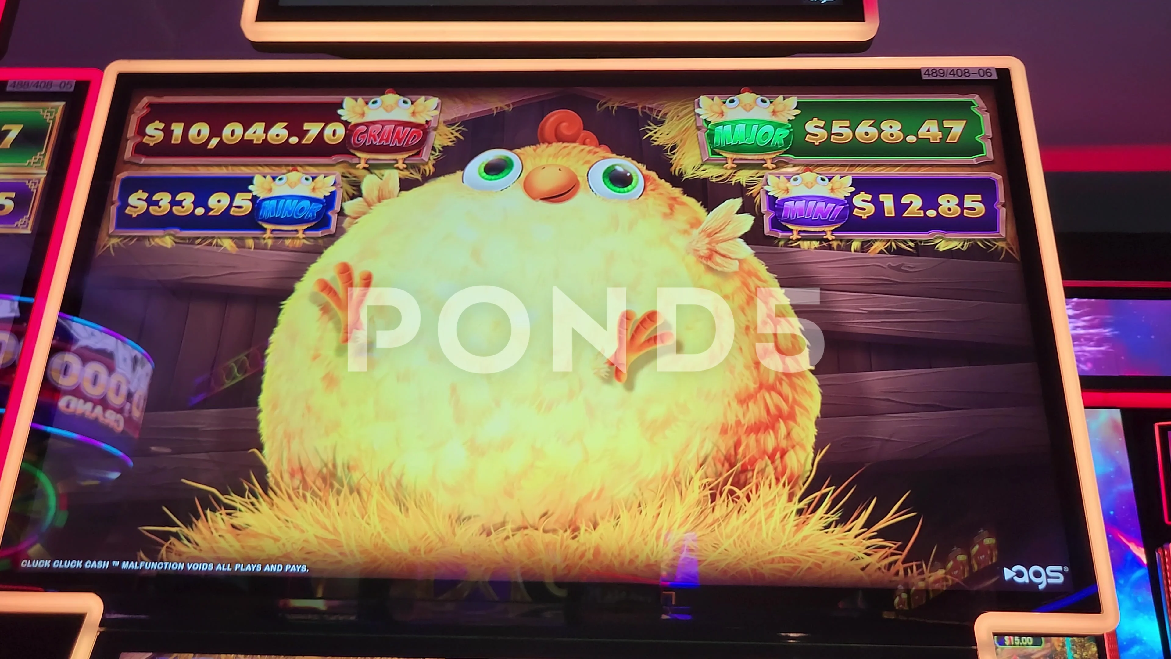 Golden Hen Bird Slot Machine Casino Game