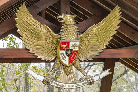 Golden heraldic eagle emblem with shield, crossed swords, realistic style, so Stock Photos