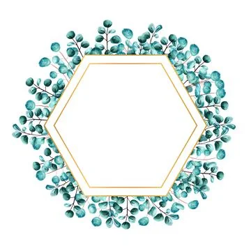 Golden hexagonal frame framed by green eucalyptus leaves on a white isolated  Stock Illustration