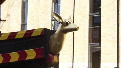 Golden hind 動画素材 62919678