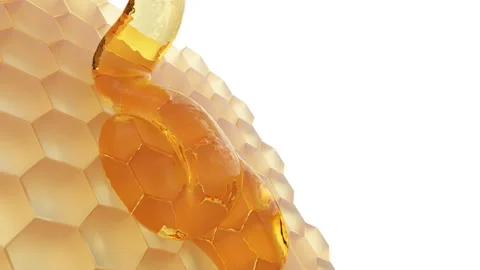 Golden honey flows down the honeycombs Stock Footage 170728131