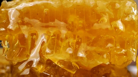 Golden honey flows down honeycombs. Close-up of wax honeycombs.  Stock Footage 313351453