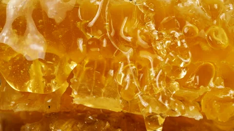Golden honey flows down honeycombs. Close-up of wax honeycombs. Shooting macro.  Stock Footage 313911035
