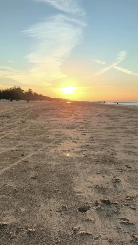 Golden Hour Beach Sunset Vertical View of Sandy Shoreline Video stock 340382118