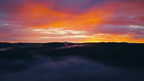 Golden Hour Clouds Over Forest Silhouette With Fog 库存影片 341551250