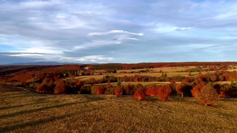 Golden-Hour Drone View over Korond Meadows with Scattered Trees, Harghita, Roman Stock Footage 320935523