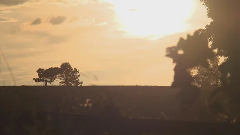 Golden Hour Fields As The Sun Is Setting. Stock-Footage 107270117