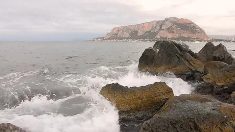 Golden hour Stock Footage 79800785