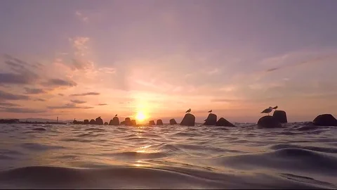 Golden hour Stock Footage 79800830