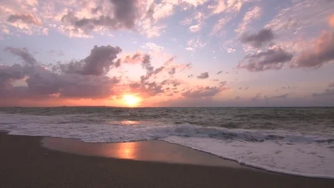 Golden hour Stock Footage 79800841