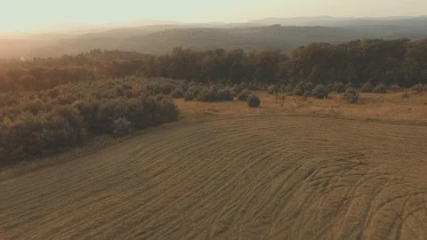 Golden Hour 動画素材 99006411