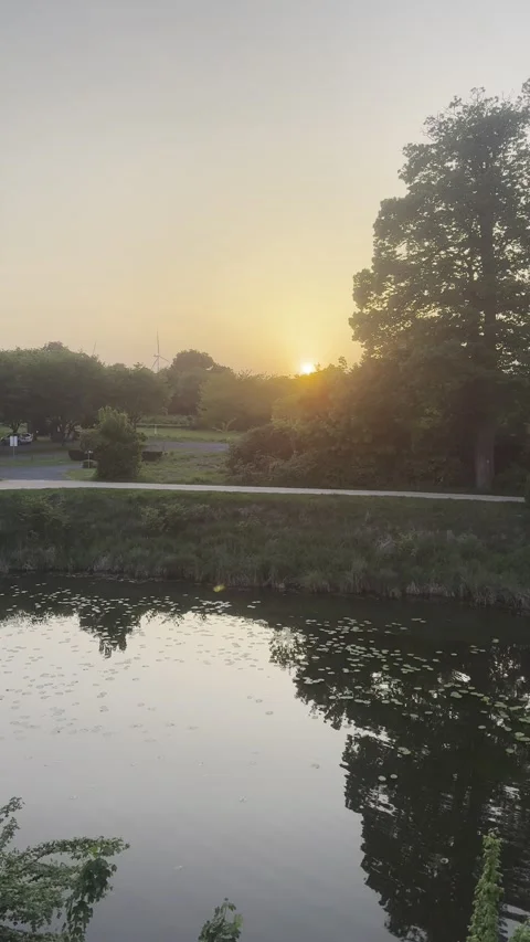 Golden Hour Stock Footage 309413454