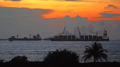 Golden hour in Harbor Video stock 144789357