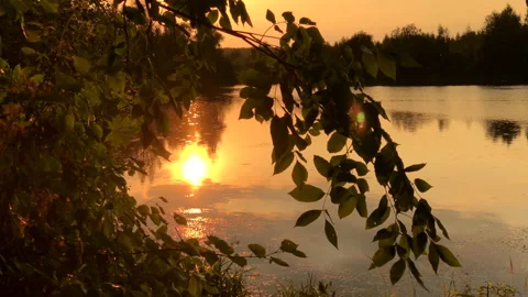 Golden hour on lake with sun shines through tree foliage Stock Footage