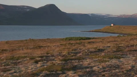 Golden Hour Light bathes a Windswept Coastal Grassland, Icelandic Westfjords Stock Footage 345179957