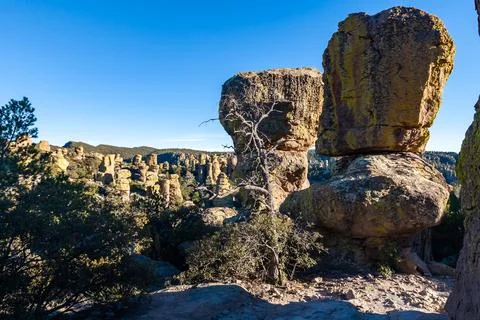 Golden hour lighting casting shadows on unique rock formations against a cl.. 写真素材