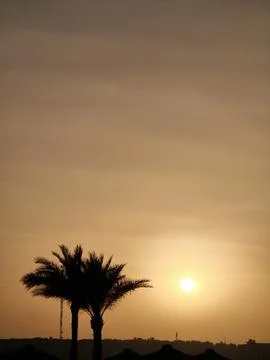 Golden hour magic breathtaking sunset paints the sky in warm amber hues, with Stock Photos