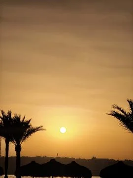 Golden hour magic breathtaking sunset paints the sky in warm amber hues, with Stock Photos