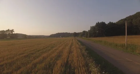 Golden Hour meadow Stock Footage