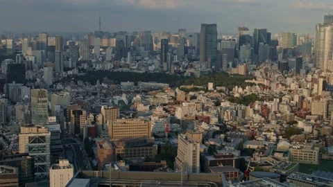 Golden Hour Over Tokyo – The skyline glows under a warm, fading sunlight. Stock Footage 305534737