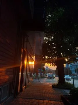 Golden Hour Stock Photos