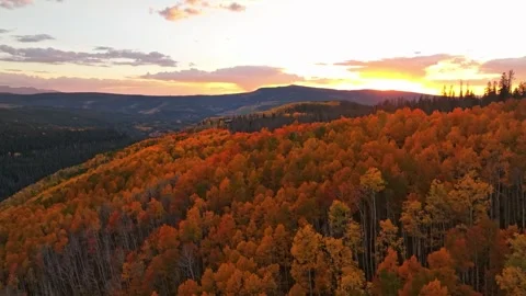 Golden Hour at Piney River Ranch | Sunset Golden Aspen Drone 库存影片 331555800