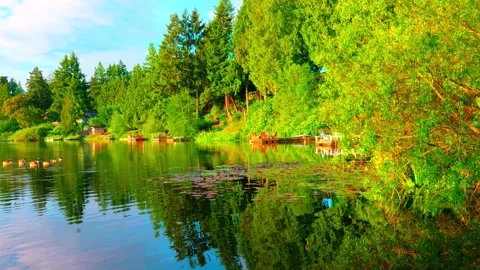 Golden hour reflection of forest trees on calm lake water 動画素材 338204306