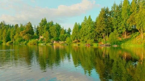 Golden hour reflection of green forest trees on calm lake water Stock-Footage 338054943