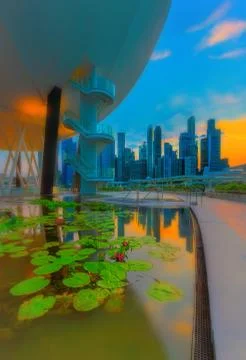 Golden hour reflections Stock Photos