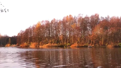 Golden hour by the river Stock Footage 327954829