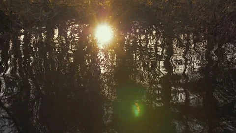 Golden Hour Rivers edge Stock Footage 86197492