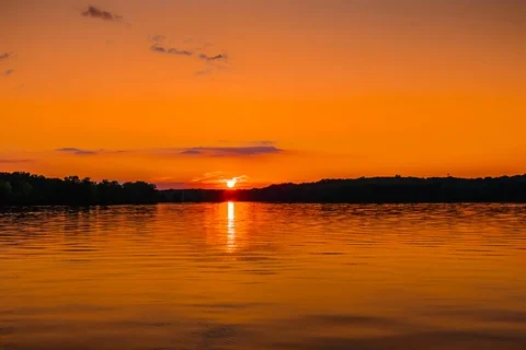 Golden Hour Sun Setting Behind Tree Line - 6K timelapse Video stock 100131660