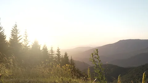 Golden hour sun setting over mountainous forest landscape Stock Footage 338309202