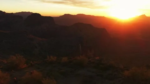 Golden Hour Sunlight Cactus Stock Footage 341849488